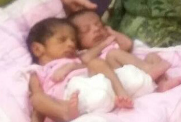 Twins born to couple by IVF
